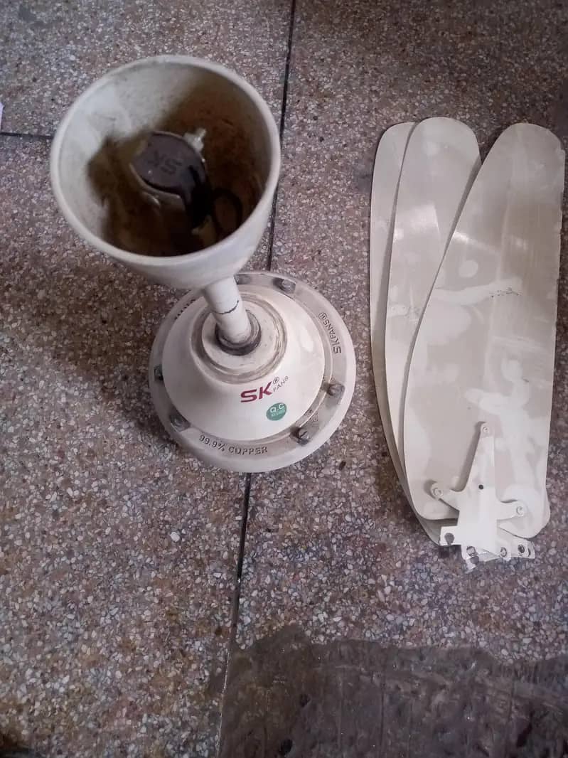 Celiling fan 1