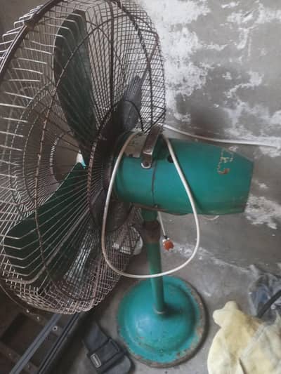 stad wala fan ha sale