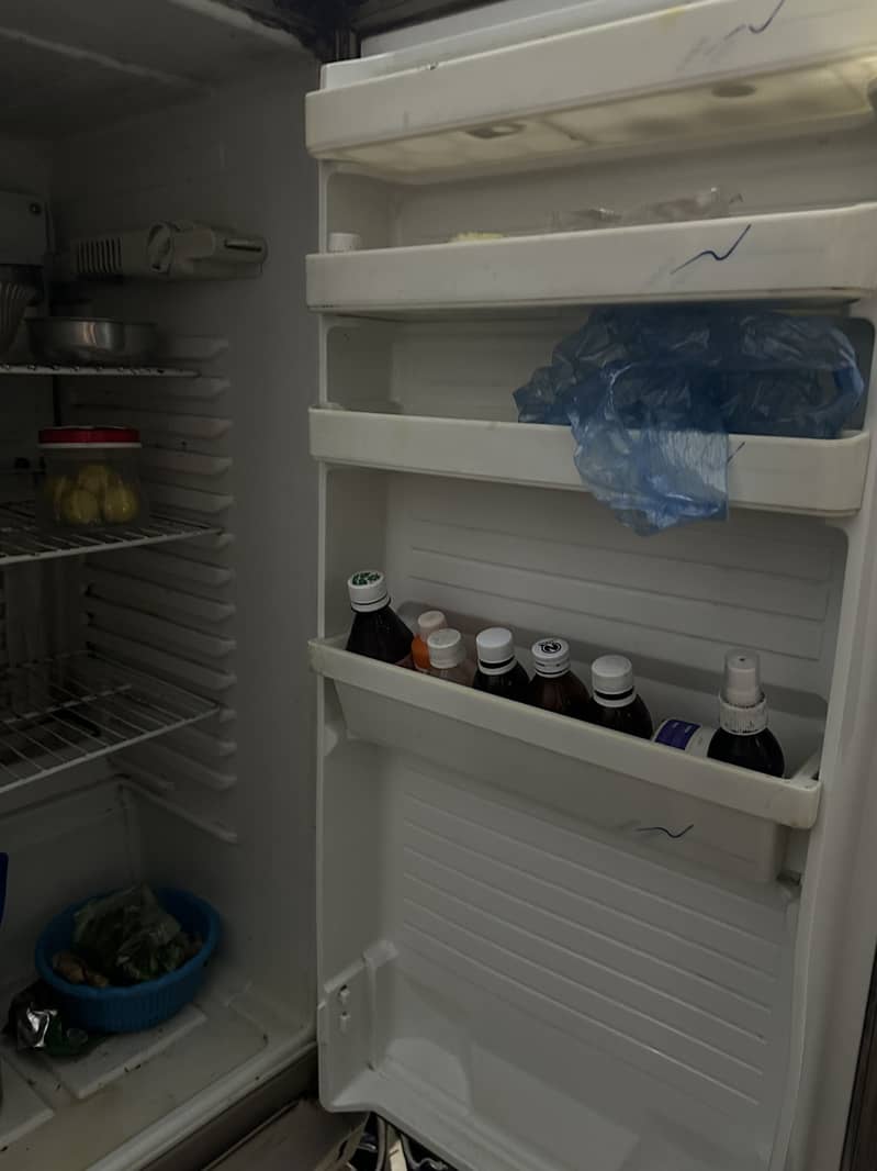 Fridge 1