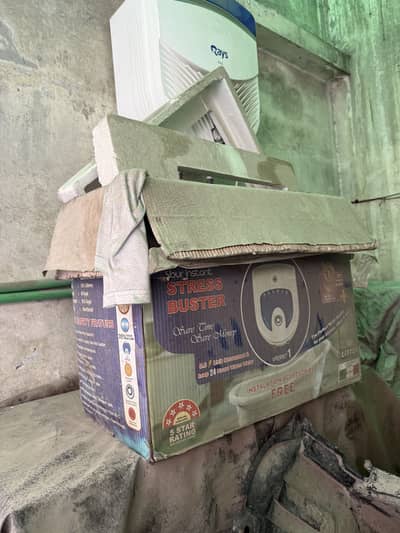 Rays Electric Instant Geyser