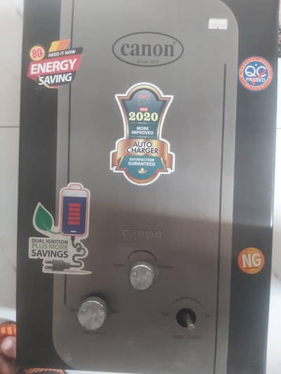 Electric and gas geyser