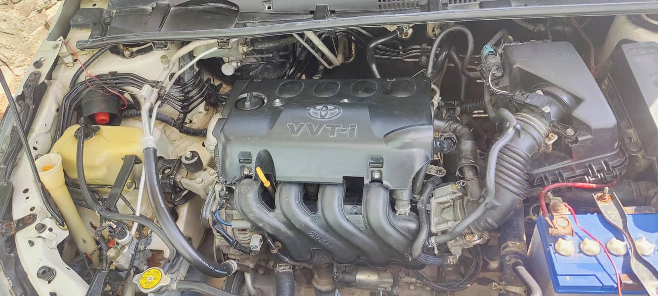 Toyota Corolla xli converted gli 12