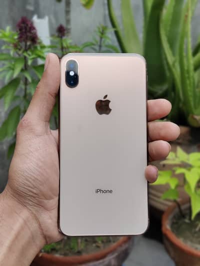 iPhone XS Max non pta exchange possible