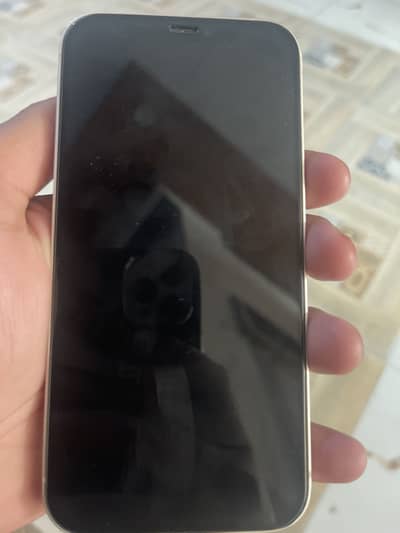 iphone 12 pta approved