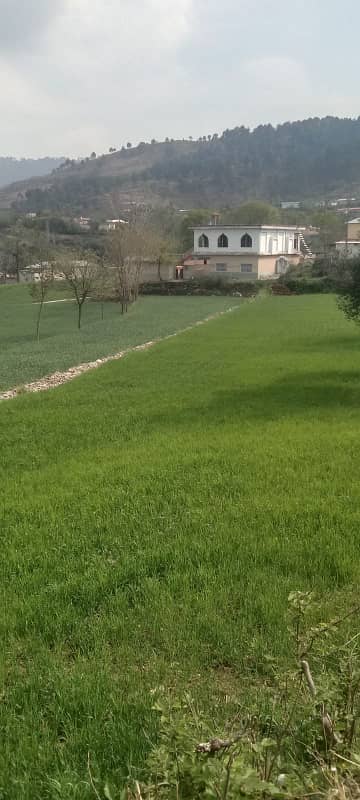 develop position plots available on installments payment plan 0