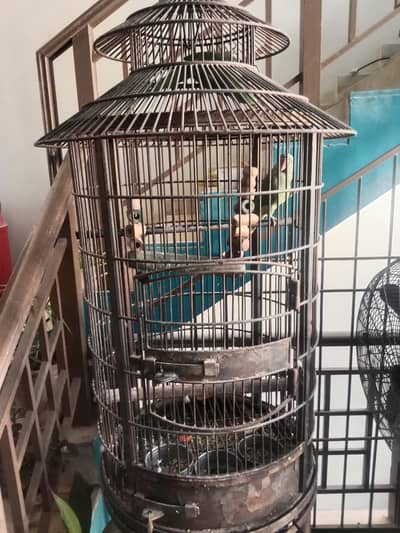 parrot cage