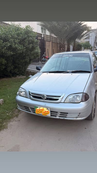 Suzuki cultus