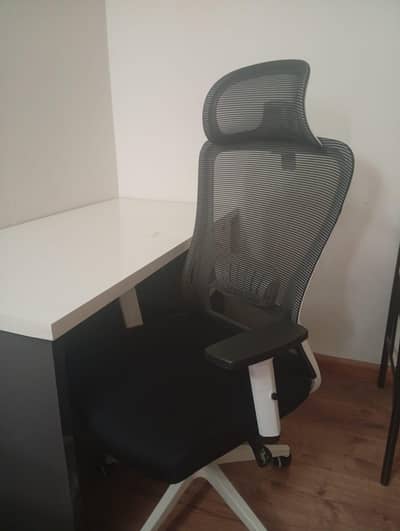 2 Ergonomic computer chairs