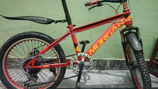 Morgan mountain gear bicycle