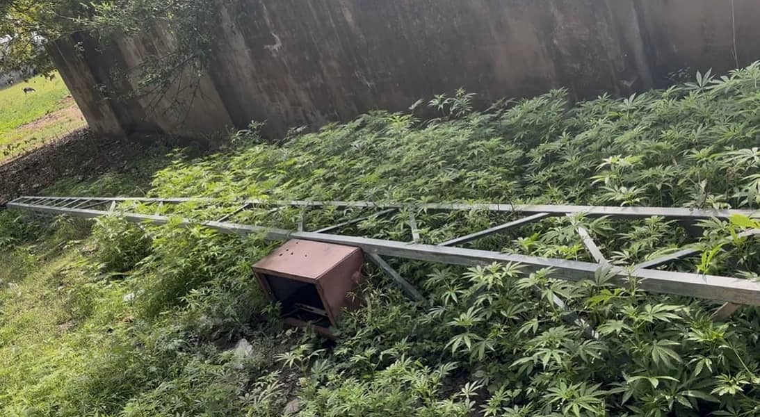 3 phase transforma 3