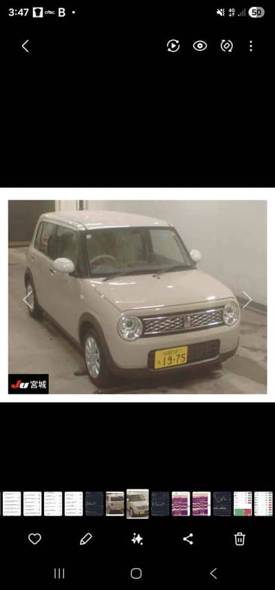 ALTO LAPIN TOTAL GENUINE