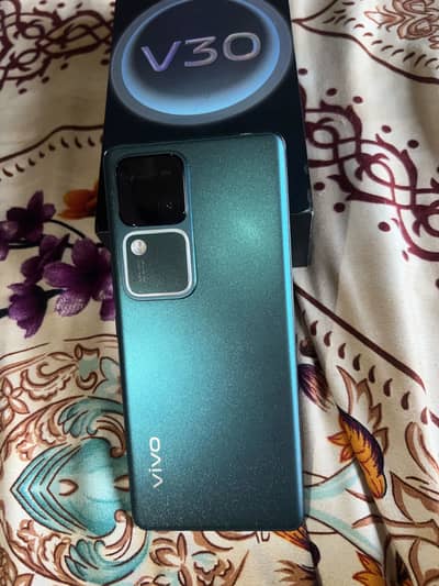 Vivo V30 5G 12/256