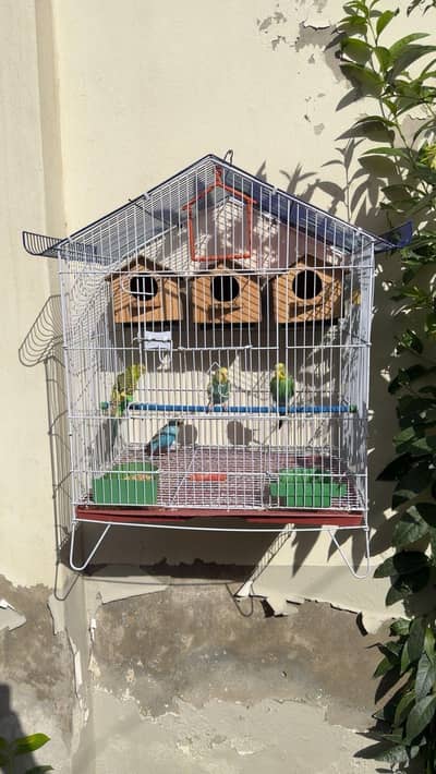 Birds folding cage