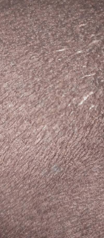 mojay bhaira dha ma job ki zoorat ha kyi b Kam ho plz dm