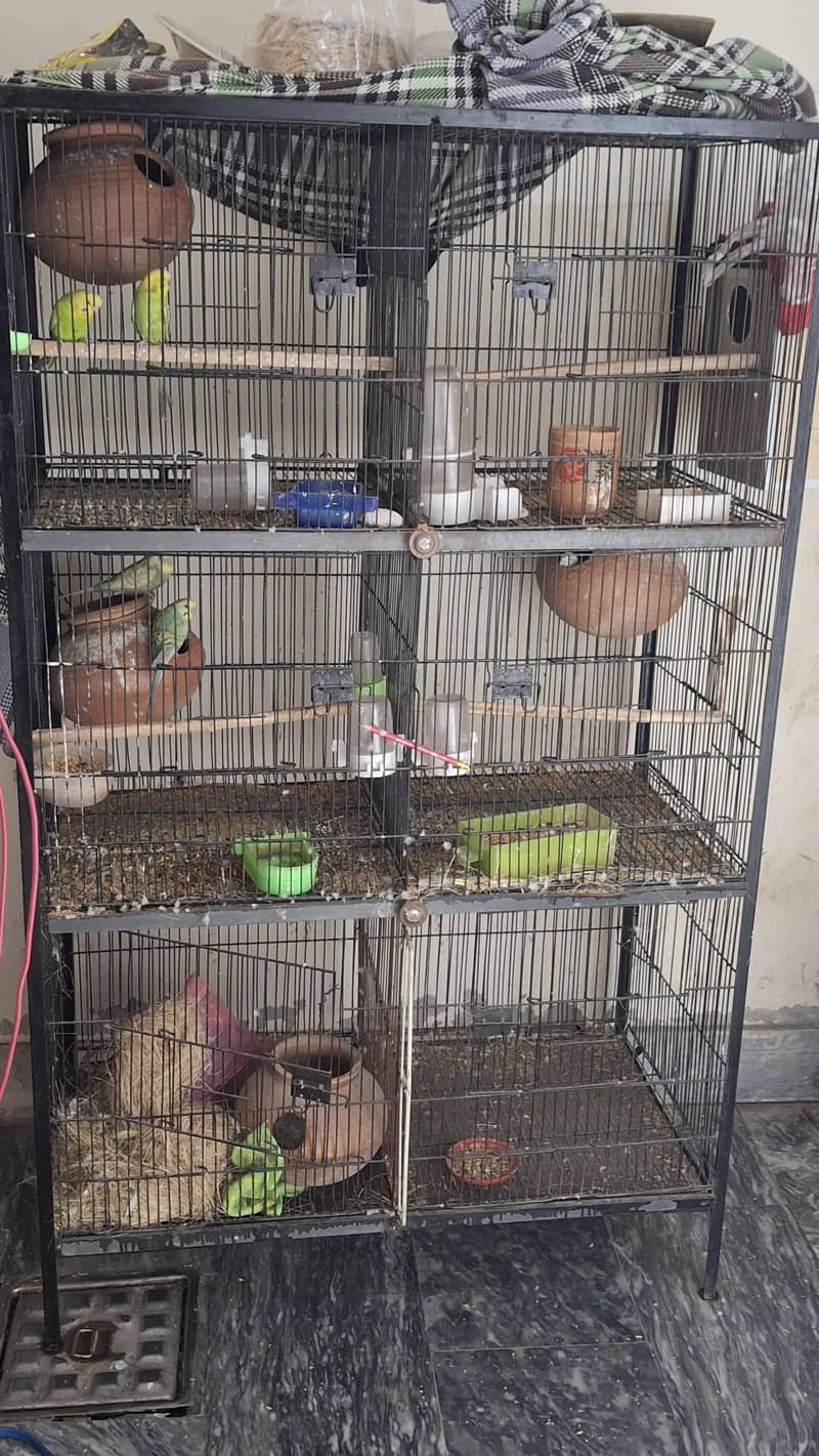 rainbow working pair 8