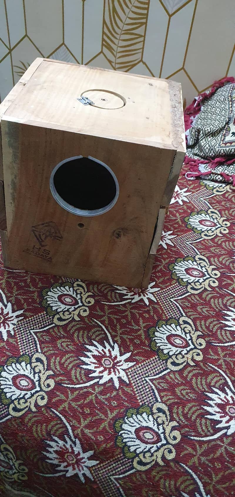 Breeding ring neck pair 5