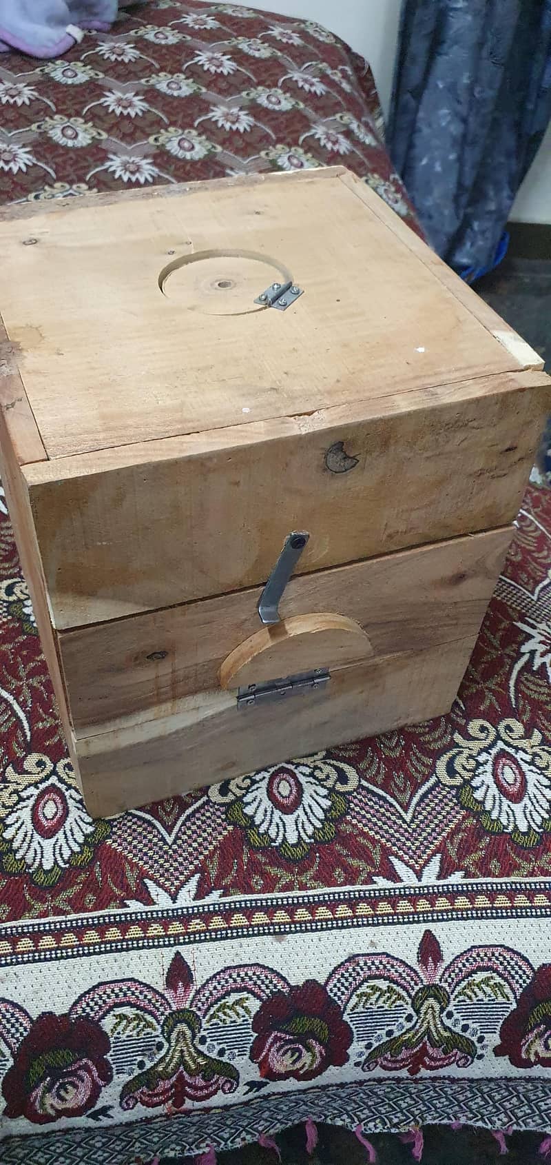 Breeding ring neck pair 6