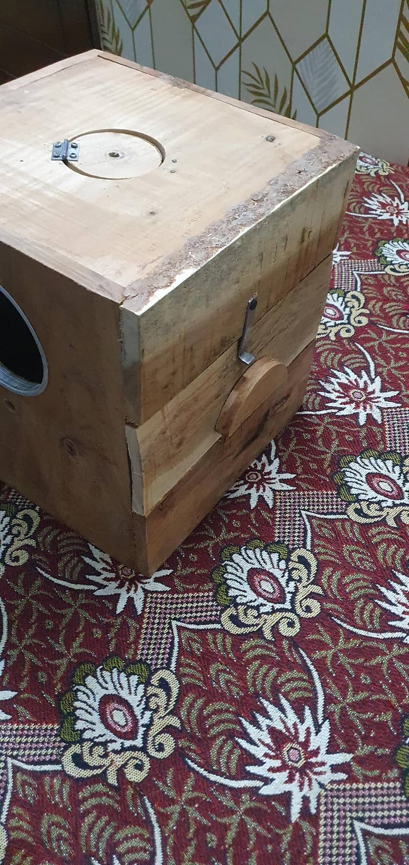 Breeding ring neck pair 7