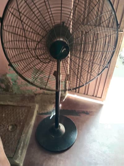 standfan