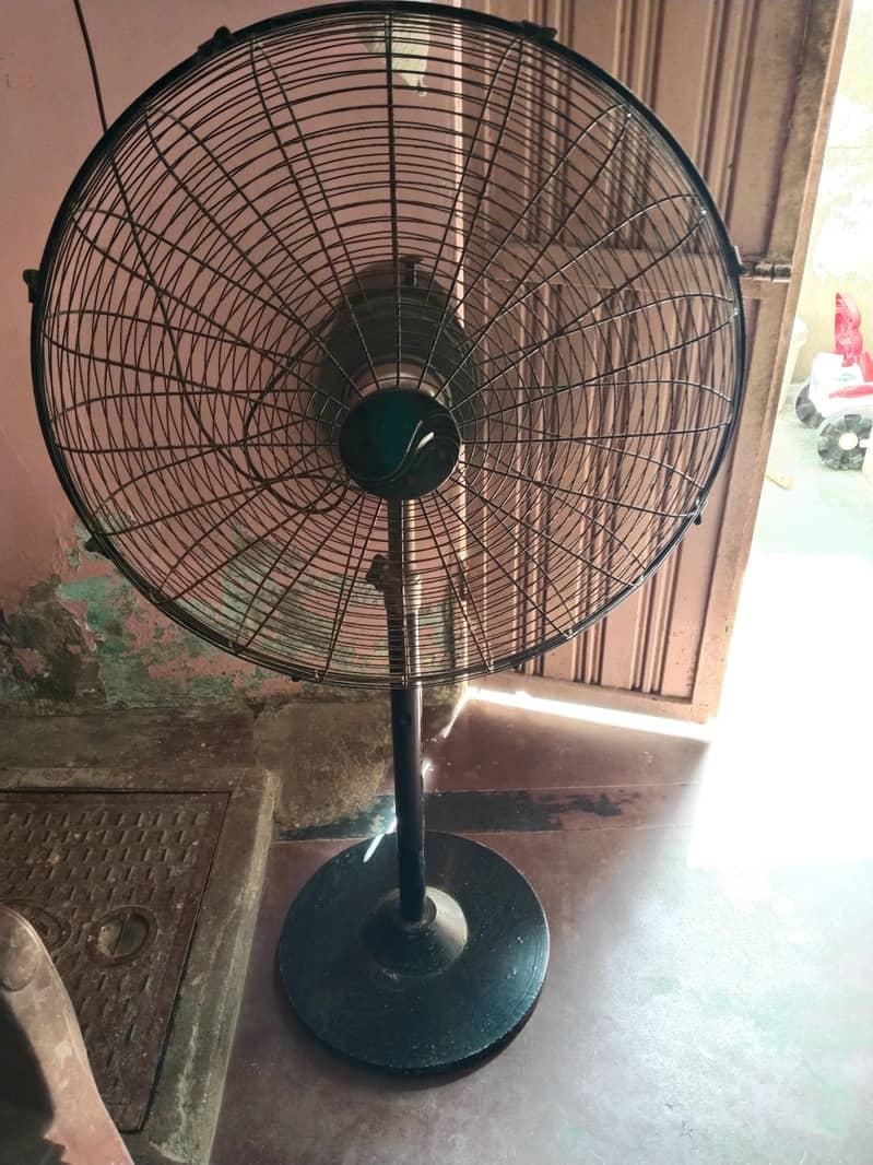 standfan 1