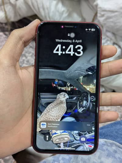 Iphone XR 64gb Jv non pta