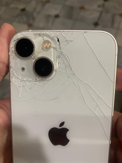 iPhone 13 panel change