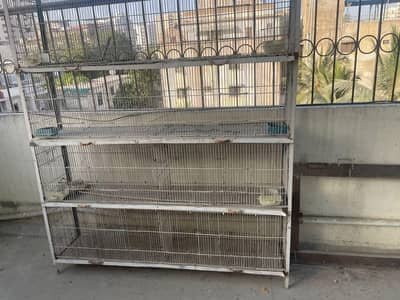 Birds Cage 5 Portion