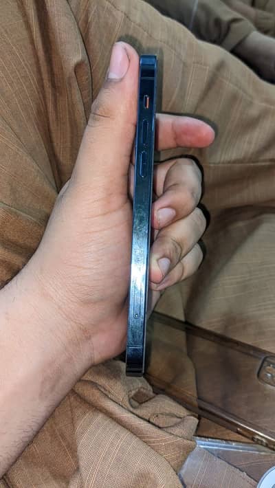 iPhone 12 Pro all ok waterpak