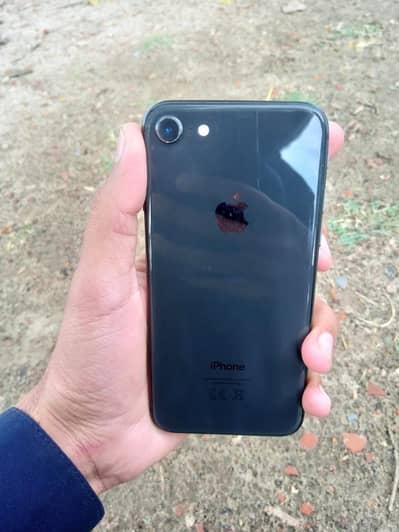iphone 8 non PTA