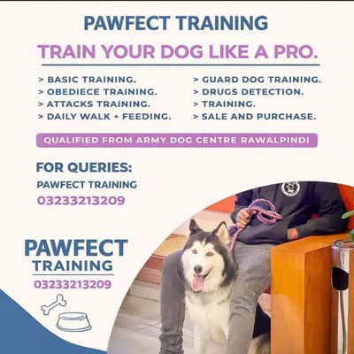 Karachi’s Professional Dog Trainer ”