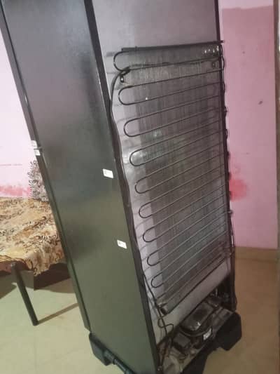 “Heavy Duty Double Door Freezer – Best Deal”