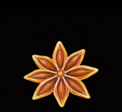 Manager,Cashier, Order Receivers, Waiters ,Sweepers  for Resturant