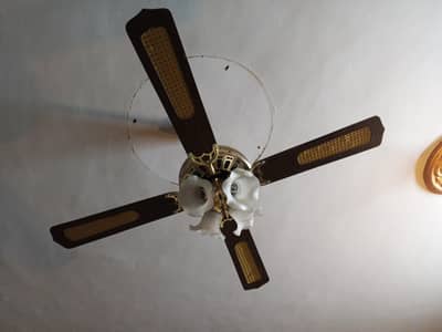 wood fan