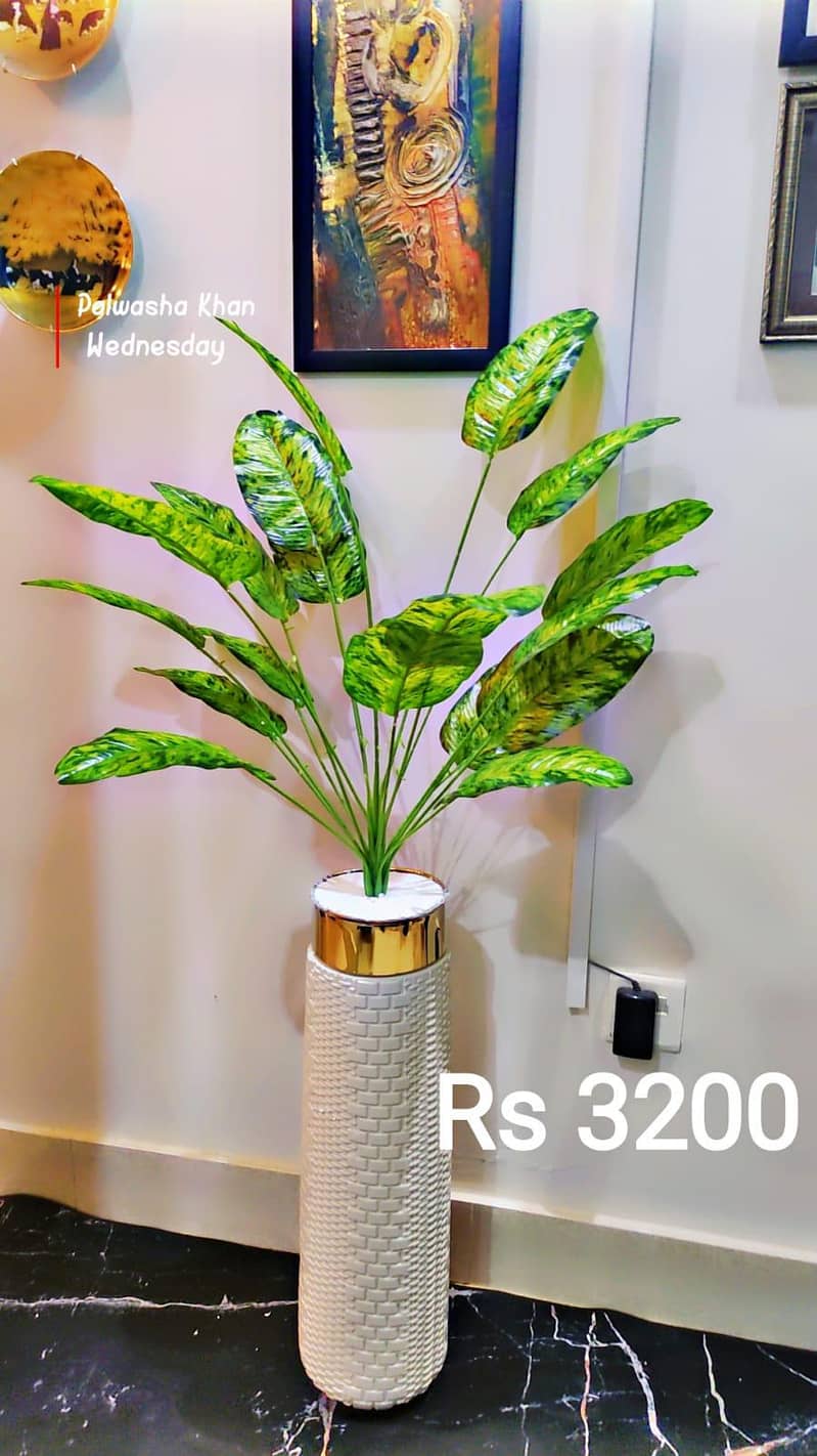 planters 4