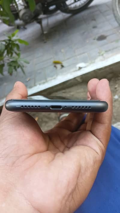 iPhone 11