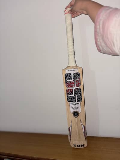 cricket hard ball bat