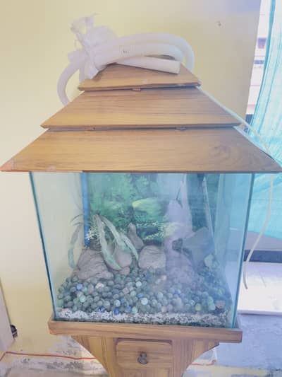 Fish Aquarium For Sale