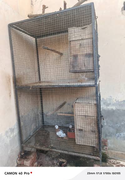 dubal raw parrot cage full saiz