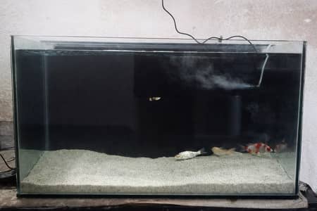 8mm  3ft Aquarium Complete Setup (with fish + filter)