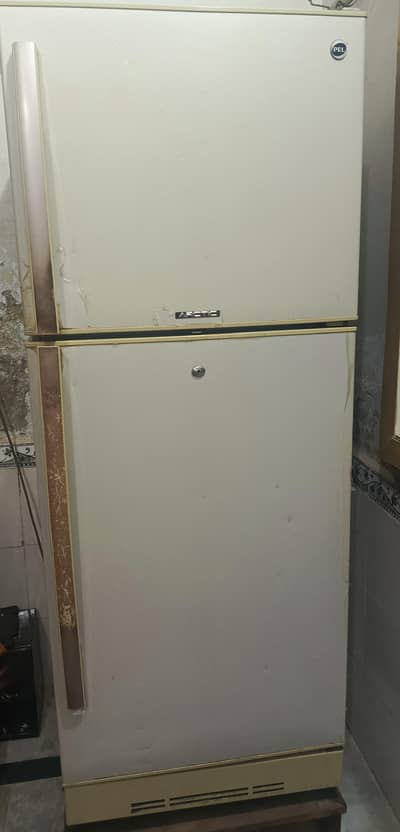 PEL Arctic Fridge Medium Size