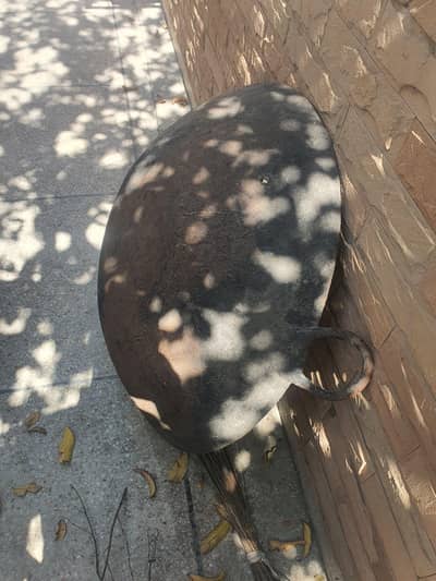 commercial burner stove and karahi