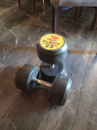 new dumbbells 25 kg each x 2