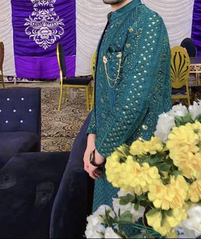 Luxury Mehandi dress