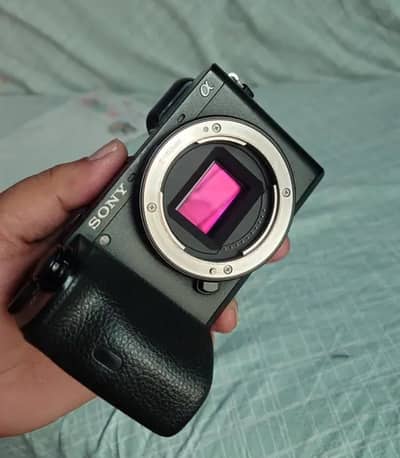 Sony a6600