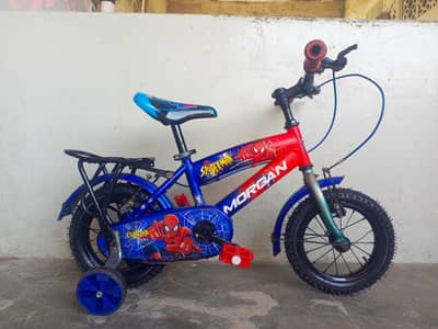 12 size imported bicycle 033/0371/8656 fix price 8500