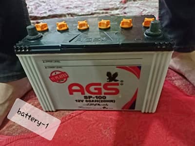 ags sp-100 12v 60Ah {20hr} 2 battery