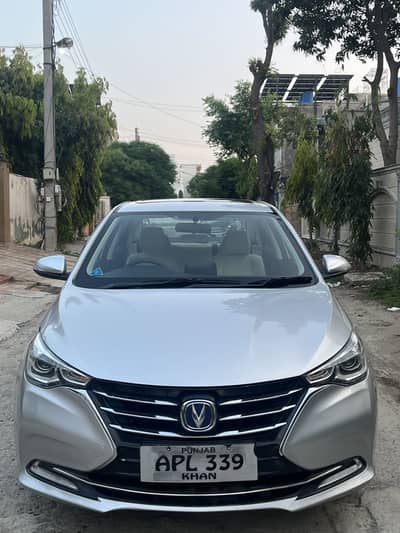 alsvin in great condition