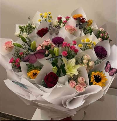 Mahnoor Nafees 
