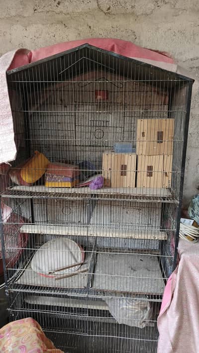cages urgent sale 10000