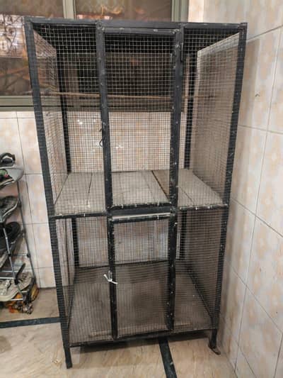 Cage for animal